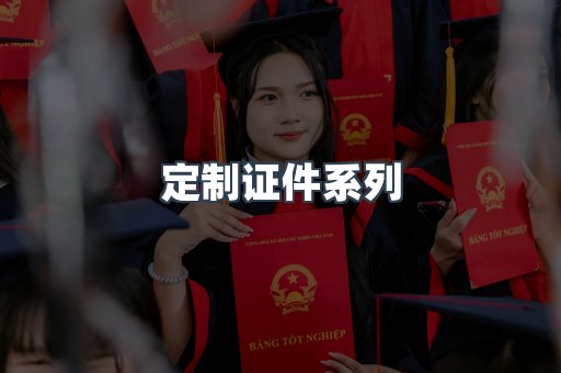 定制证件系列