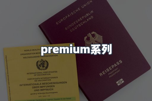 premium系列